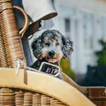 Wassersleben 4* Harrislee