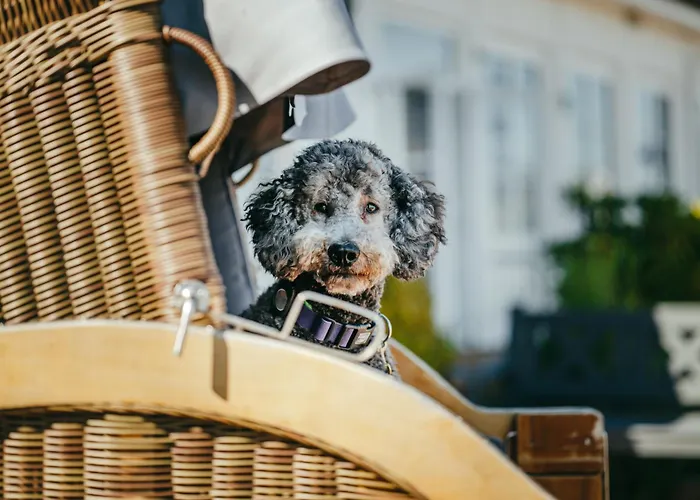 Wassersleben 4* Harrislee